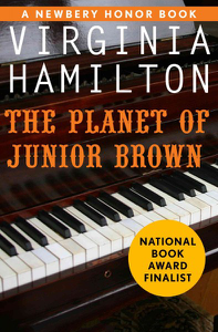 Cover of book: The Planet of Junior Brown